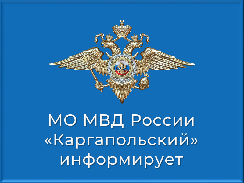 ГРАФИК личного приема граждан руководящим составом  МО МВД России «Каргапольский» на ноябрь   2025 года.