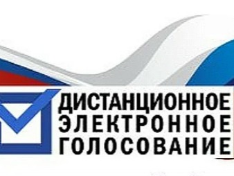 Дистанционное электронное голосование.
